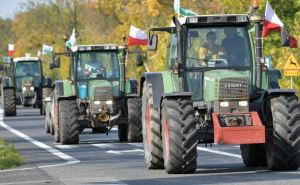 Польские фермеры решили прекратить блокаду границы с Россией — какая причина
