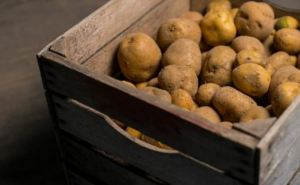 Можно покупать мешками: Как правильно хранить картофель?