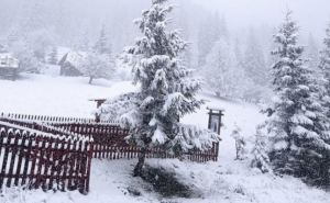 В Украине выпал снег. В сети публикуют фото зимы посреди апреля