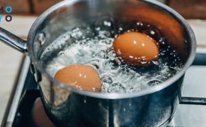 Как нужно варить яйца, чтобы они дольше хранились: не все хозяйки знают