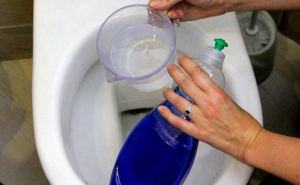 Зачем в унитаз заливать средство для мытья посуды и теплую воду: хитрость, которая пригодится