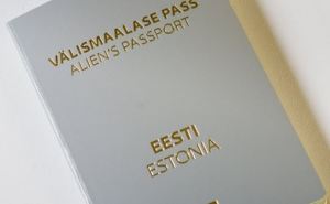 В каких странах Европы украинцы могут получить серый паспорт и сколько он будет действителен?