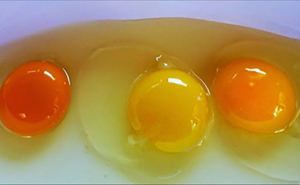 Важный вопрос, который волнует многих: можно ли есть вареные яйца с серым ободком вокруг желтка?