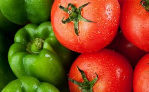 Помидоры ровные, крупные и сочные — схема лечения томатов от вершинной гнили. Перцам тоже подойдет