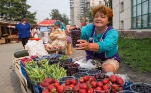 В Украине резко подешевела летняя ягода: какие цены на рынке