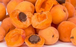 Польза абрикоса: 5 свойств о которых вы не знали — теперь едим его каждый день
