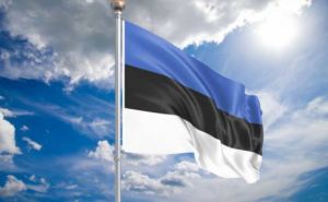 Количество украинцев, желающих получить убежище в Эстонии растет