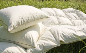 Почему подушки нельзя сушить на солнце. Какие ещё процедуры с одеялом, подушками и наматрасником нужно проводить регулярно