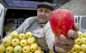 Цены на яблоки в Украине продолжают бить новые рекорды