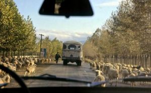 Какая республику считали самой богатой в СССР. Уровень жизни был выше среднего по Союзу