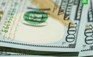 Третій день поспіль долар продовжує зростати: курси валют на 13 лютого 2025 року