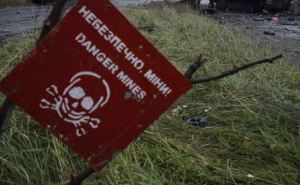 Площадь заминированных земель на Украине превысила территорию Англии