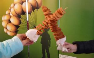 Какая картошка лучше для смузи, а какая для шнапса, выясняют в эти дни в Саксонии