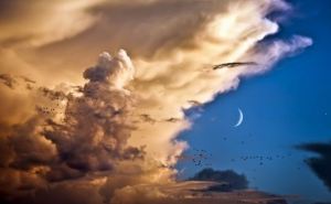 Как самостоятельно определить погоду на ближайшие сутки по облакам. Попробуйте себя в роли синоптика