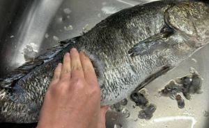 Любую рыбу чищу руками, без ножа и кипятка: кухня всегда остается чистой — испанский метод, который действительно работает