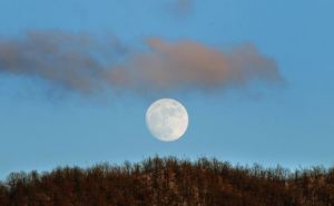 Сегодня нужно обязательно наблюдать за Луной и домашними питомцами. Они предскажут какой будет зима