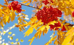 Не лето конечно, но в ближайшие два дня Украину ждёт вполне приятная погода.