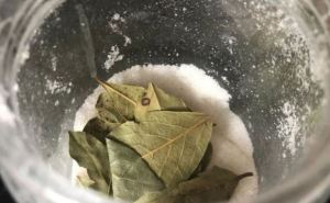 Почему в каждой советской сахарнице лежал лавровый лист — и почему это не суеверие, а наука в действии