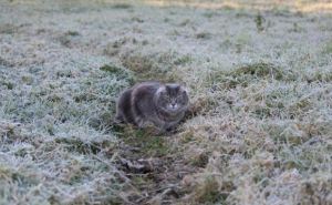 С 18 числа похолодает: а с 24 ноября ударят первые морозы