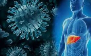 Из-за вспышки желтухи в Чехии, умерло 29 человек. Польша предупреждает своих граждан об опасности поездок в соседнюю страну