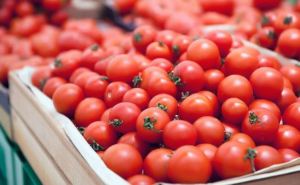 Скільки коштують помідори в Україні повідомляють що ціни почали падати