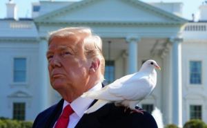 Трамп назначил Украине дедлайн по принятию мирного плана