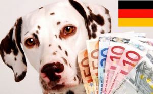 Существенное увеличение налога на собак в Германии. Но есть возможность сэкономить деньги