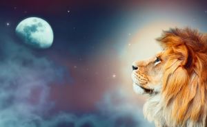 Сдержанность и благоразумие&nbsp;&mdash; основной девиз дня