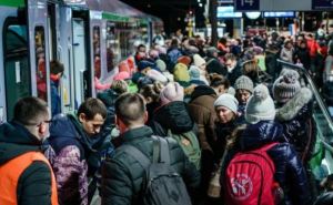 Полмиллиона украинцев уже покинули Германию