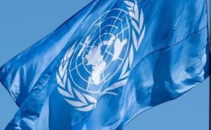 ООН закрыла программу помощи украинским беженцам при поддержке немецкого правительства