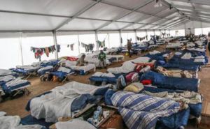 Где в мае 2026 года принимают по землям Германии украинских беженцев