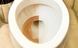 Две ложки в унитаз на ночь: утром он блестит как новый&nbsp;&mdash; средство за 5 копеек