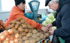 Цены на картофель в Украине рухнули: но осенью цены могут взлететь на 30%