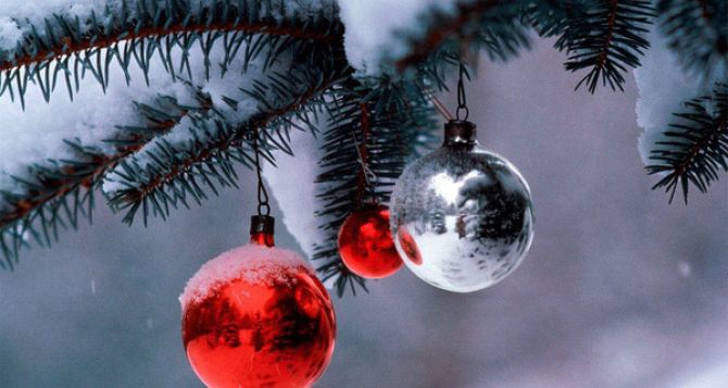 Жители Луганской области смогут купить новогоднюю елку за 50 гривен