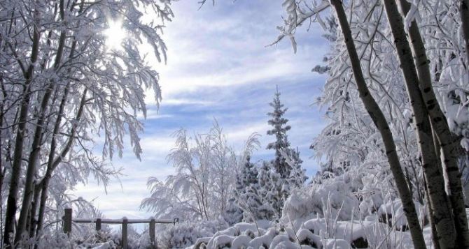 Погода в Луганске на выходные, 14 и 15 декабря