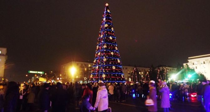 В Луганске зажгла огни главная новогодняя елка (фото)