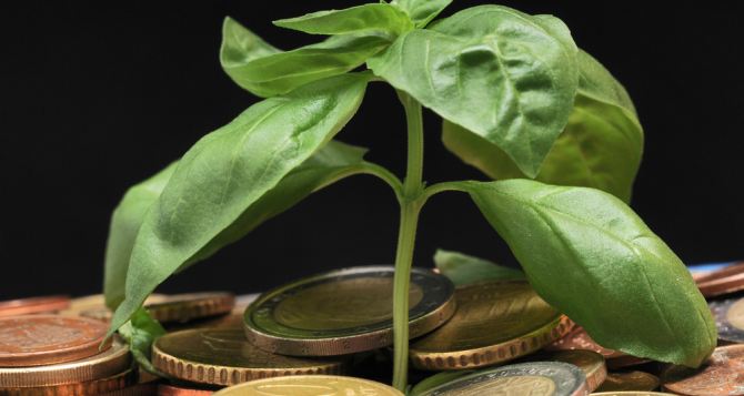 С  года изменились ставки экологического налога