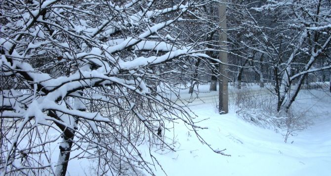 Погода в Луганске на завтра, 23 января: -14ºС