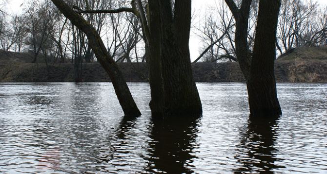 На Луганщине готовы к паводку