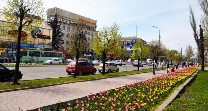 В горсовете пообещали к праздникам превратить Луганск в цветник