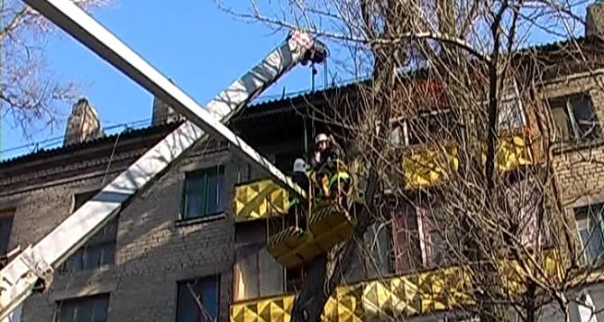 В Луганске на пятиэтажку рухнуло дерево (видео)