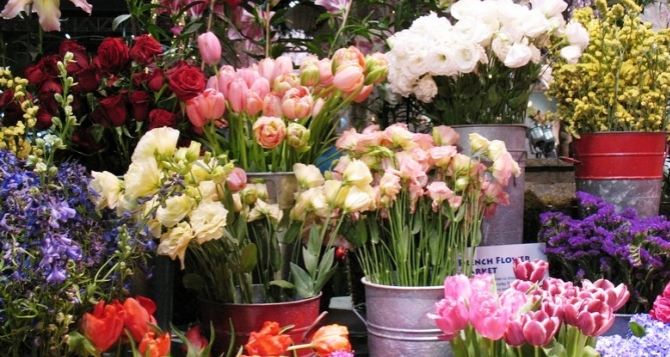 На выходных в Луганске пройдет ярмарка цветов