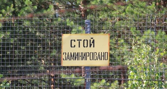 Жители села на Луганщине отстояли право на мирную жизнь