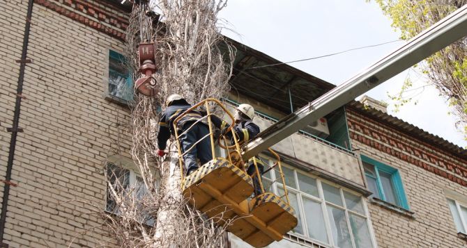 На луганскую пятиэтажку рухнуло дерево (фото)