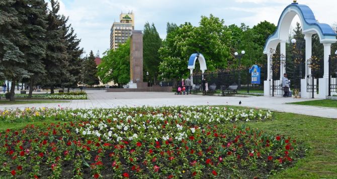 В Луганске высадят 250 тысяч цветов (фото)