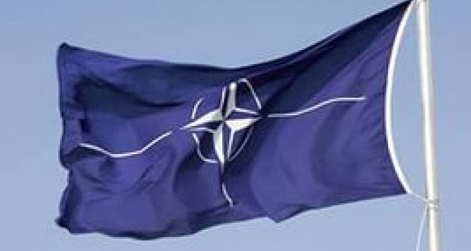 В Минюсте рассказали, когда Украина может официально стать союзником НАТО