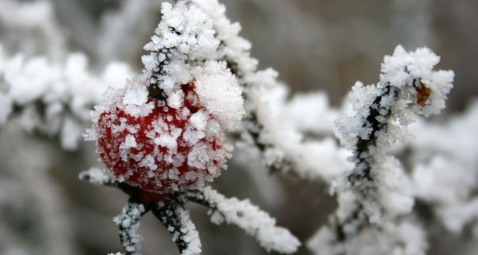 В Луганскую область идут сильные морозы