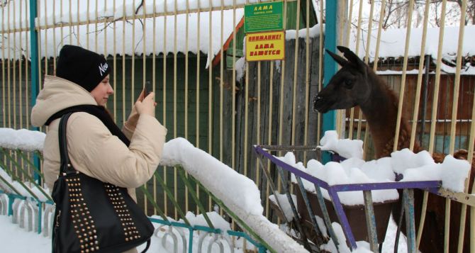 Луганские студенты привезли животным городского зоопарка 100 кг мяса (фото)