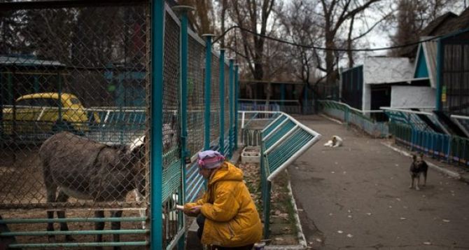 Луганский мясокомбинат возобновил поставки продуктов питомцам зоопарка