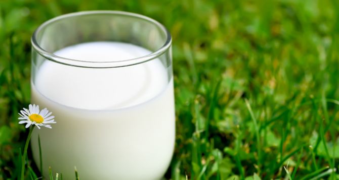 Луганская «Станица» будет закупать молоко в Донецкой области